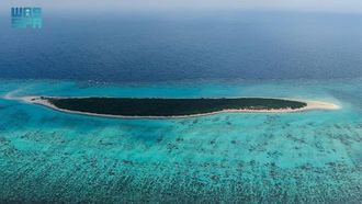 التنوع البيولوجي والسياحة البيئية في جزيرة مرمر