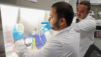 Oral Microbiome Links Obesity To Metabolic Health