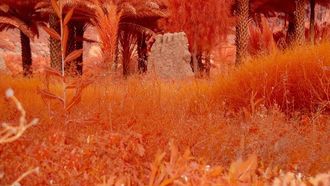 أرضنا في العلا: حوار فني عالمي