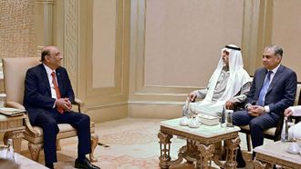 Pakistan President Meets UAE Official In Abu Dhabi
