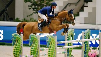 انطلاق بطولة كأس رئيس الدولة في أبوظبي