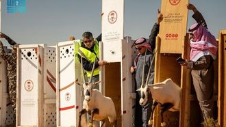 عودة الحياة البرية المهددة بالانقراض في الإمام التركي