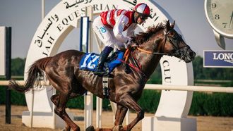 تنطلق بطولة كأس ولي عهد الشارقة غداً