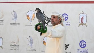 الرياضات التقليدية في بطولة أبوظبي للماسترز 2026