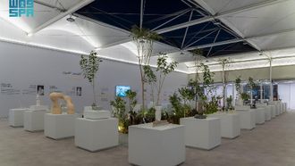 Tuwaiq Sculpture Symposium 2026 Nighttime Arts