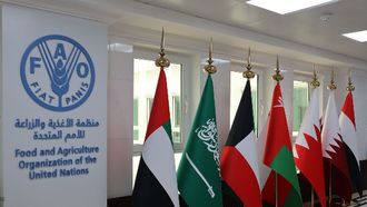 UAE As Strategic Food Security Partner FAO