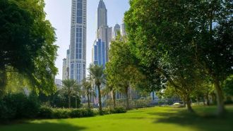 تجذب المتنزهات الطبيعية في الإمارات العربية المتحدة المستثمرين