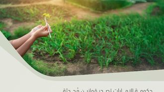 UAE Updates Quarantine And Biodiversity Laws