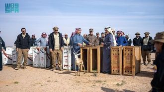 تم إطلاق سراح 75 نوعاً في محمية الملك عبد العزيز