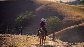 قصص منطقة البورتريه من إكسبوجر 2026