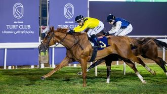 كأس أبوظبي الذهبي: تنافس نخبة الخيول