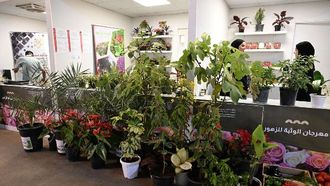 اختتام مهرجان الوثبة في أبوظبي