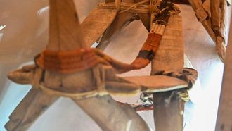 شداد سرج الجمل: التراث البدوي