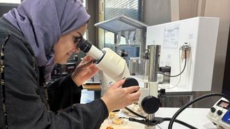 التدريب على ترميم الشعاب المرجانية في المملكة العربية السعودية