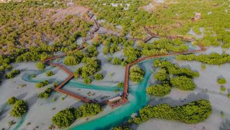 Hamdan Bin Zayed Worlds Richest Seas Initiative