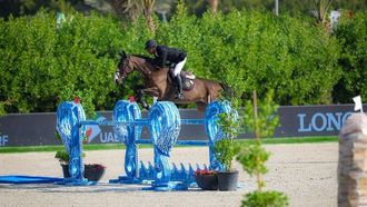 حميد المهيري يحصل على جائزة الفرسان