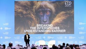 الدبلوماسية بين الأنواع في مجال الذكاء الاصطناعي في القمة العالمية