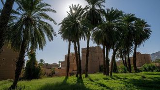 Najran Dates: Ramadan Hospitality