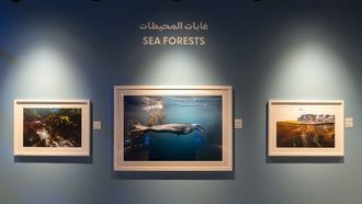 التصوير الفوتوغرافي يربط بين العلم والأطفال