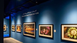 أبرز فعاليات معرض إكسبوجر 2026: صور توضيحية لحماية المحيطات