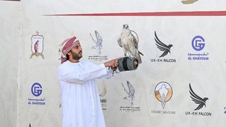 كأس أبوظبي للصقارة: 13 عاماً