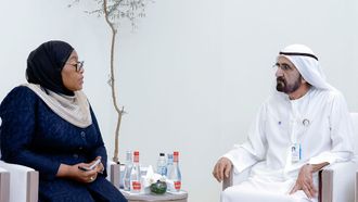 World Governments Summit 2026: UAE-Tanzania Ties