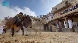 إحياء تراث المدينة في عسير