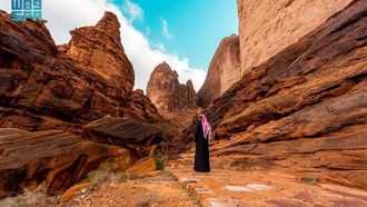 نقوش صخرة العلا: سجل الحضارات