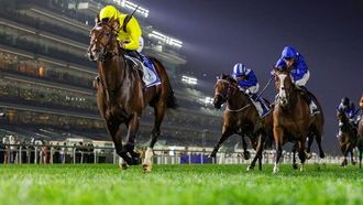 سباق رأس الخور يقام في ميدان