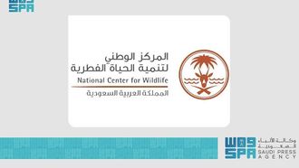 NCW Launches Wildlife Status Rectification Phase