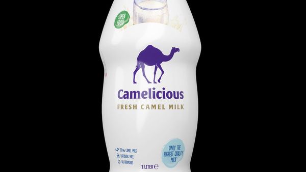 Cameliciouss Eco-Friendly Rebranding at Gulfood