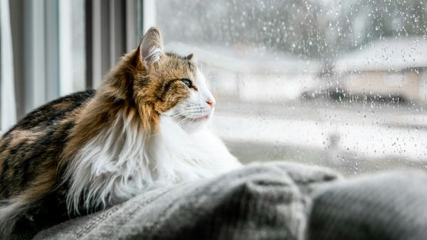 Cosy Indoor Weekend Ideas for Family