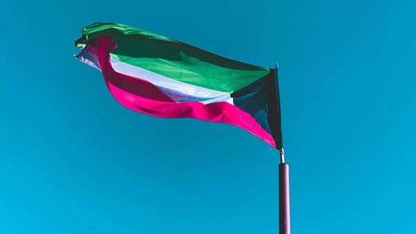 Googles Tribute to Kuwait National Day