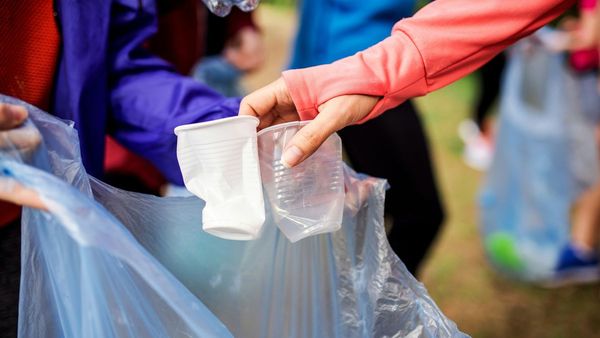 Kuwait Sets Fines for Holiday Littering