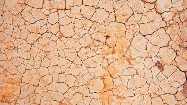  التخفيف الثوري من آثار الجفاف في روسيا