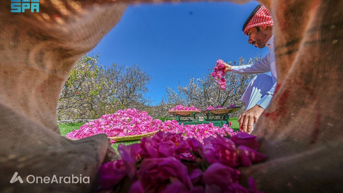 Taif Rose: Preserving Saudi Arabia's Fragrant Heritage - OneArabia