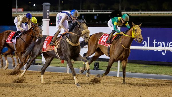 Dubai World Cup 2024: A Global Race