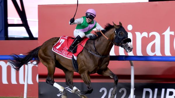 Dubai World Cup 2024: Global Spotlight