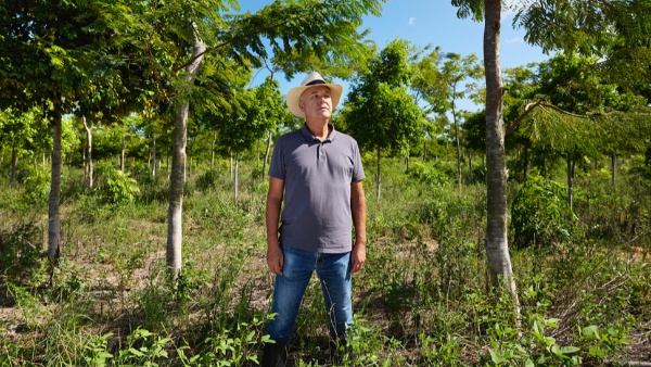 Apple Funds Atlantic Forest Reforestation