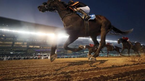 Dubai World Cup 2024: A Global Race
