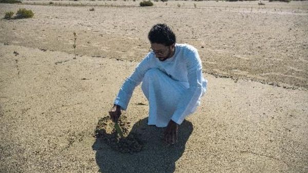 Planting 100 000 Trees Globally