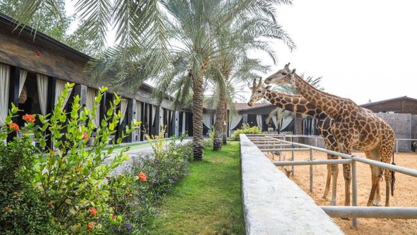 Ramadan Family Fun at Emirates Park Zoo