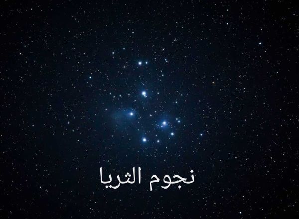 'Pleiades Daughter' Season Begins