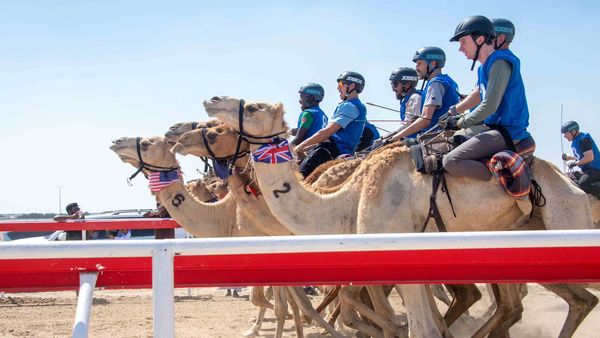 Camel Marathon Merges Heritage at Al Wathba