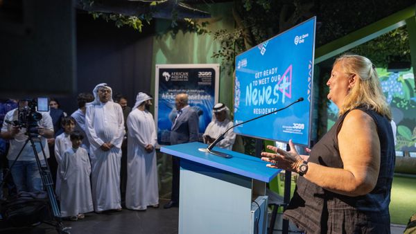 National Aquarium Abu Dhabi Welcomes African Manatees