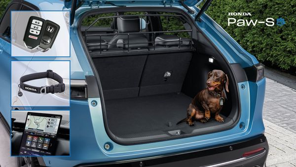 Honda's New PAW-S: Pet Safety Redefined