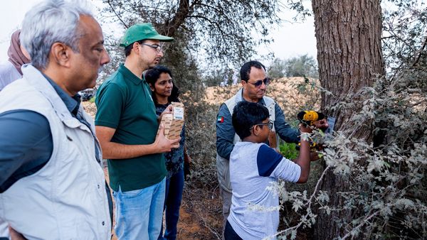Environment Agency Expands Tree Numbering Program in Abu Dhabi
