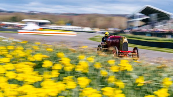 Goodwood's 81st Motorsport Celebration
