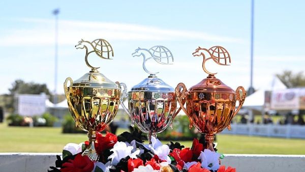 Emirates Horse Cup Ends on High Note