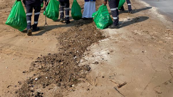 UAQ Cleanup After Rains